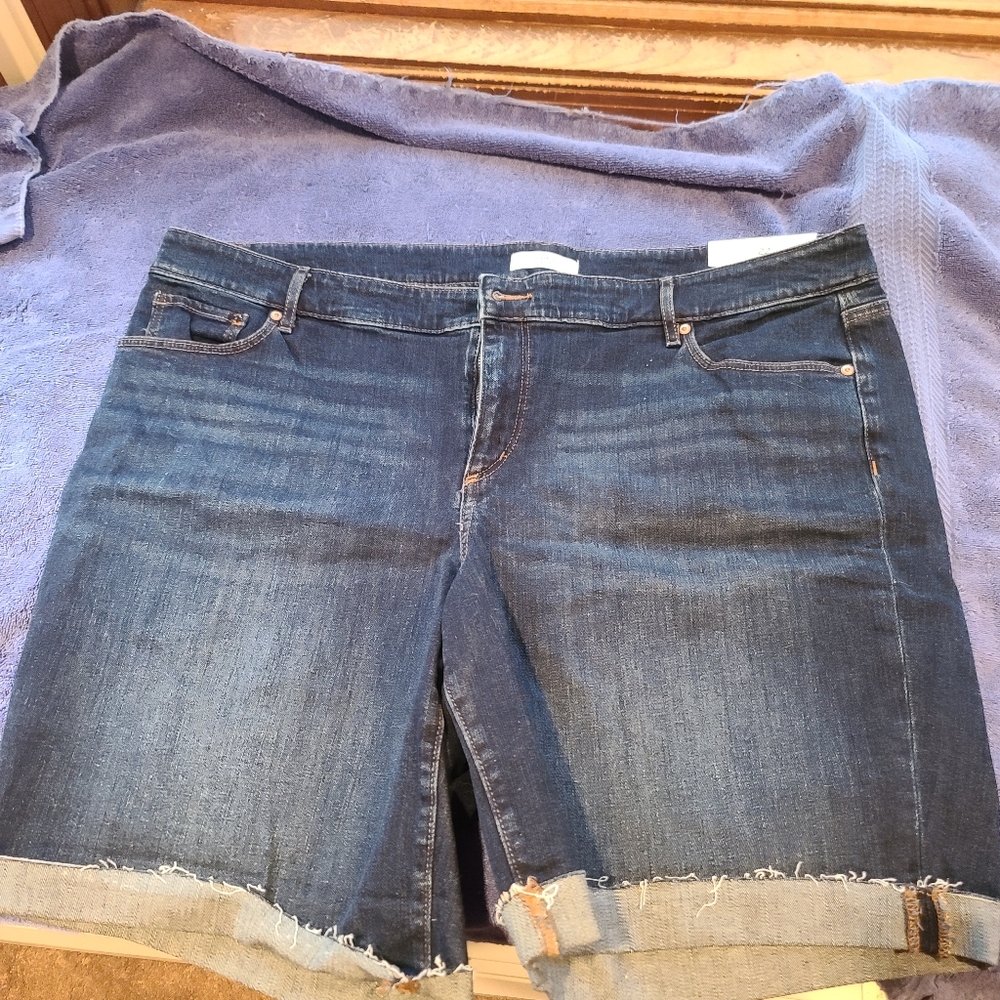 Loft Jean Shorts NWT
